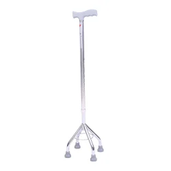 Walking Stick